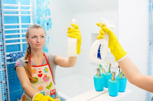 Professional cleaning company in W5 servicing a home interior