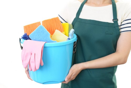 Professional cleaner in W5 cleaning a bright home interior