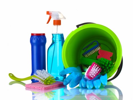 Professional carpet cleaning in a W5 home living room