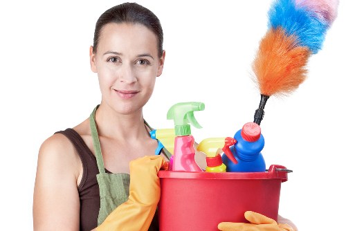 Professional carpet cleaner in W5 cleaning a living room carpet