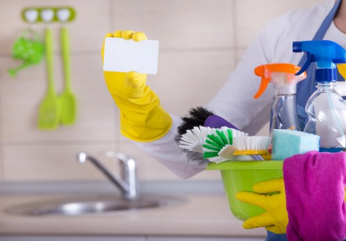 Professional home cleaners providing domestic cleaning in W5