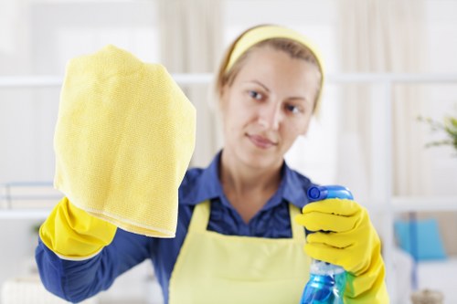 Professional domestic cleaning service in W5 for a tidy home