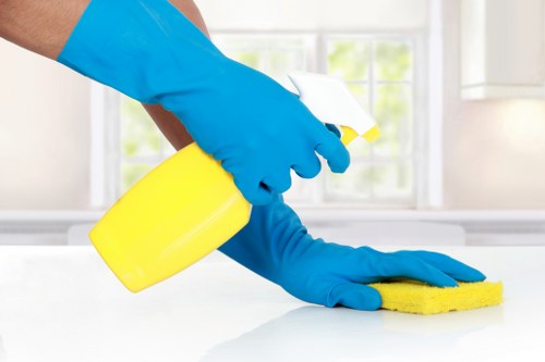 Professional oven cleaning in W5 restoring a dirty kitchen appliance