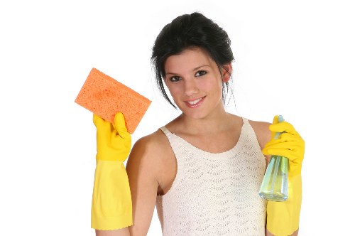 Professional window cleaning in W5 for a bright residential property