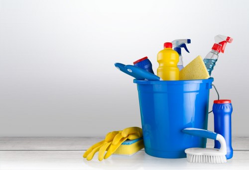 Regular home cleaning tasks in a W5 household