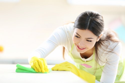 Thorough professional cleaning service in the W5 area