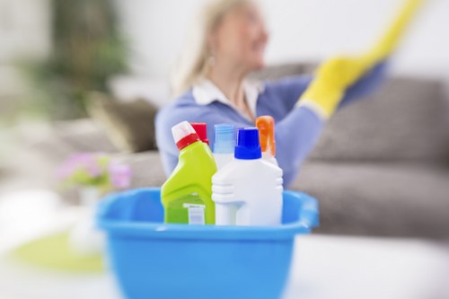 Kitchen and bathroom cleaning service in W5 home