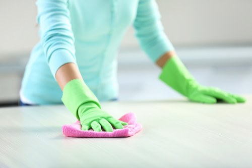 Regular house cleaning in W5 for busy households