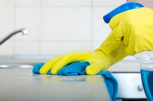 Detailed carpet care process for homes and businesses in W5