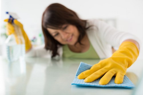 Reviewing carpet cleaning safety standards and procedures