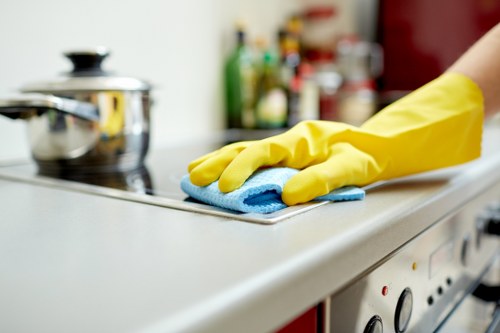 Service terms document for carpet cleaning with legal clauses and responsibilities