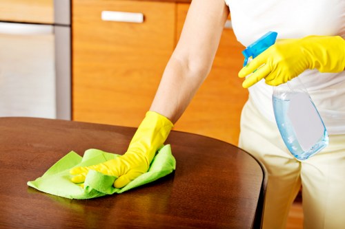 Benefits of domestic cleaning in W5 for busy families